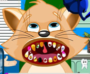 game Cat Dental Care
