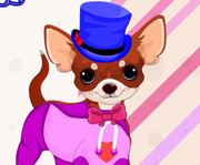 game Chihuahua Puppy Care