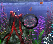 game Finding Nemo Hide and Seek