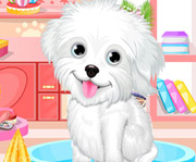 game Fluffy Puppy Pet Spa And Care