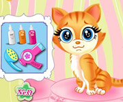 game Pets Beauty Salon